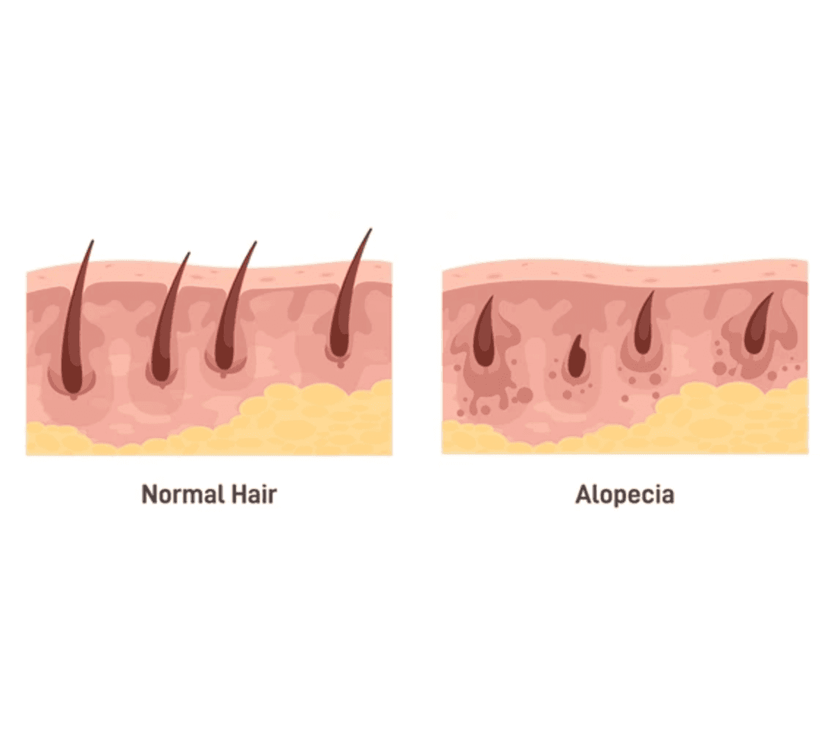 ad DÒC Medical Skin & Hair